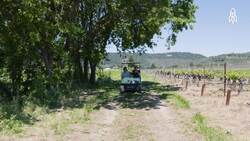 Barn owls, The unsung heroes of Napa Valley vineyards Instructional Video
