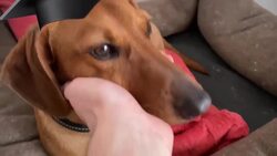 How Norway's Flag Could Have Been VERY Different (1821 Contest) Instructional Video