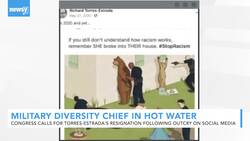 New Military Diversity Chief Investigated Over 'Controversial' Posts News Clip