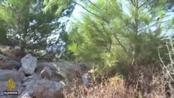 Five Palestinians killed by Israeli forces in occupied West Bank News Clip