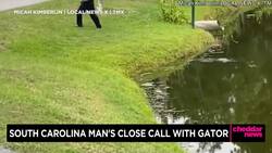 South Carolina Man Has Close Encounter With Alligator News Clip