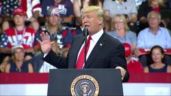 Trump campaigns on ending birthright citizenship News Clip