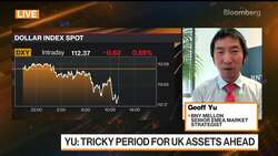 The US Dollar Is Peaking: BNY Mellon's Yu News Clip