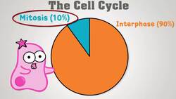 Mitosis: The Amazing Cell Process that Uses Division to Multiply! (Updated) Instructional Video