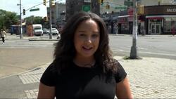 NYPD: Body of woman recovered from Bush Park in Sunset Park Instructional Video