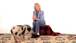 How to Feed Your Potbellied Pig Instructional Video