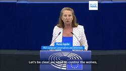 EU parliament divided on plans to review wolves' conservation status News Clip
