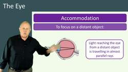Focusing and Correcting Vision: Understanding the Eye Instructional Video