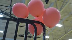 Rival volleyball teams unite to fundraise for metastatic breast cancer News Clip