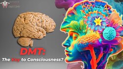 The Profound Potential of DMT Instructional Video