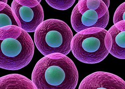 The Very First Cell Instructional Video