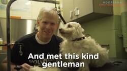 From Rescue To Makeover To Forever Home! Instructional Video