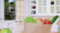 Making Healthy Choices Instructional Video