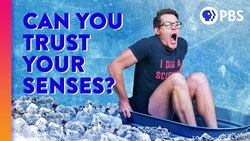 Why You Can’t Smell Yourself (and Other Ways Your Senses Lie to You) Instructional Video