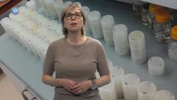 4 Awesome Discoveries You Probably Didn’t Hear About This Week - Episode 25 Instructional Video