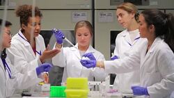 Female Biologists Working on an Experiment in the Laboratory Stock Footage