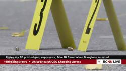 Luigi Mangione formally charged with 2nd-degree murder in killing of Brian Thompson News Clip