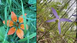 Landowners push back over proposed route for pipeline Instructional Video