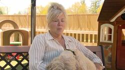 Concerns about rush for puppies during pandemic News Clip