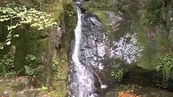 Edelfrauengrab Wasserfälle im Schwarzwald Stock Footage