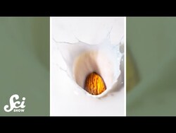 How do you milk an almond? #shorts #science Instructional Video