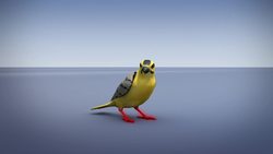 North American birds are getting smaller Instructional Video