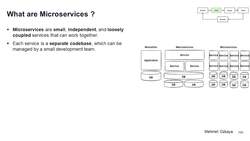 Design Microservices Architecture with Patterns and Principles - What Are Microservices? Instructional Video