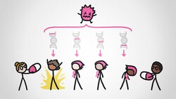 Why Haven't We Cured Cancer? Instructional Video