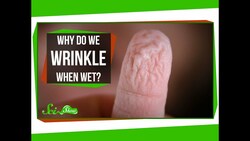Why Do We Wrinkle When Wet? Instructional Video