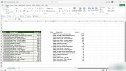 Microsoft Excel 2021365 - Beginner to Advanced - Using Format Painter Instructional Video