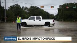 A Pessimist's Guide to 2019 News Clip