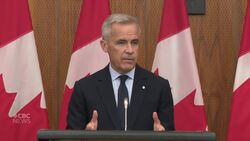 It's time to 'stickhandle' with U.S., Carney says, after dropping the gloves early in trade war News Clip