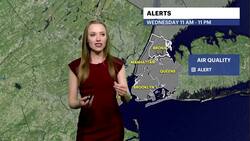 HEAT ALERT: Extreme heat and humidity bring air quality concerns to The Bronx News Clip