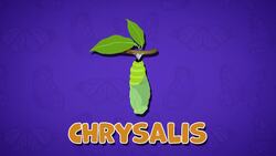 I WONDER - What Are The Stages In A Butterfly's Life Cycle? Instructional Video