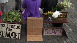 CLEAN : Fridays for Future holds Stockholm Midsummer climate strike News Clip