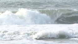 CLEAN : Swimmers near Lisbon brave traditional new year's sea dip News Clip