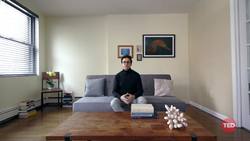 TED: Can we learn to talk to sperm whales? | David Gruber Instructional Video