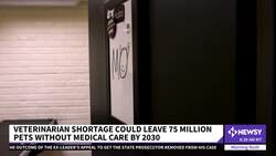 Veterinarian Shortage Could Leave 75M Pets Without Medical Care News Clip