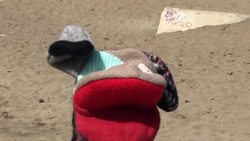 Quiet Side: Finding Solace in Quiet Moments Instructional Video