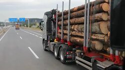 Truck transporting wood Stock Footage