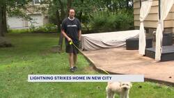 Lightning strikes tree by New City man taking dog outside Instructional Video