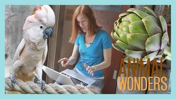 Ask Jessi 10! Instructional Video