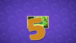 I WONDER - What Are The Different Types Of Climates? Instructional Video