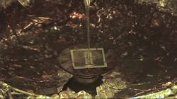 Flexible Chips Do the NIST Twist Instructional Video