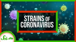 There Probably Aren't Different Strains of SARS-CoV-2 (Yet) Instructional Video