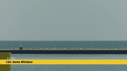This scientist says there's been an 'astonishing' increase in Lake Erie's temperature this summer News Clip