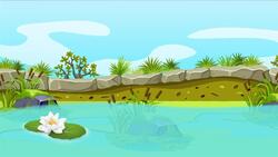 I WONDER - What Are Wetlands? Instructional Video