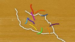 TED-Ed: The rise and fall of history's first empire | Soraya Field Fiorio Instructional Video