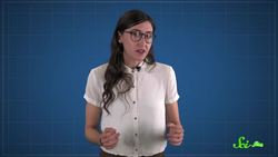 The Invisible Line in the Indian Ocean Instructional Video