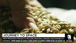 Experiments Bound for the Space Station Are Meant to Improve Life on Earth News Clip